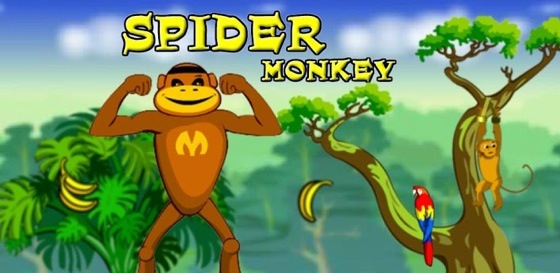 Spider-Monkey